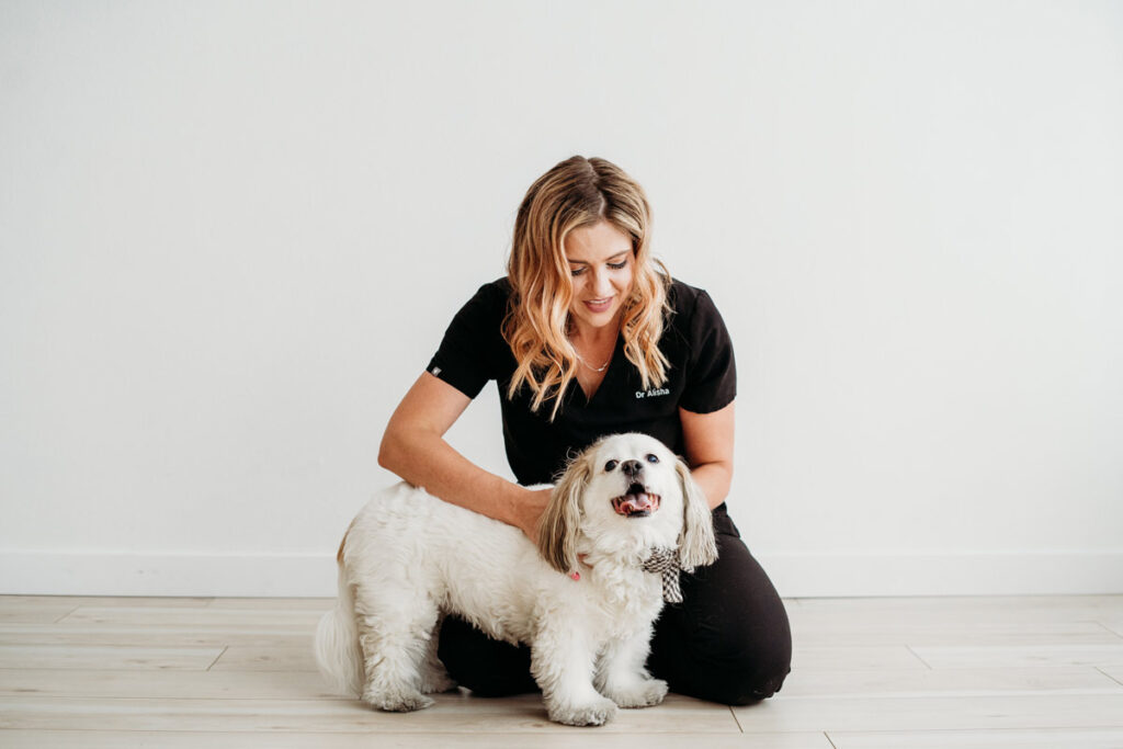 Animal Chiropractor Marketing Agency