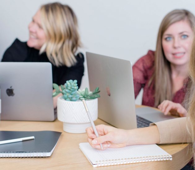 The Mina Company Digital Marketing Team in Northern Colorado The Mina Company Digital Marketing Team in Northern Colorado creating innovative and affordable seo packages, social media management and internet marketing