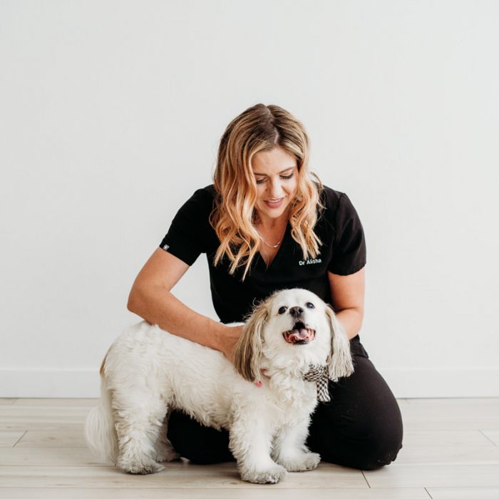 Animal Chiropractor Marketing Agency